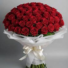 Букет 101 Красная роза Блэк Мэджик в Мамакане