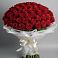 Букет 101 Красная роза Блэк Мэджик в Мамакане