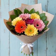Букет цветов из:  Герберы #REPLACE_PRED# Мамакане