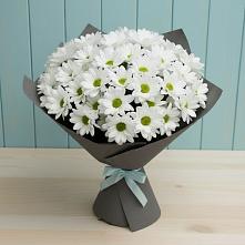 Букет цветов из:  Хризантемы #REPLACE_PRED# Мамакане