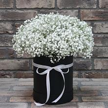 Цветочная композиция из Гипсофила в шляпной коробке в Мамакане